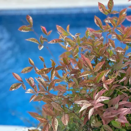 Aura Adriatica Onyx - Luxury Apartment, Private Pool, Sea View, Parking *