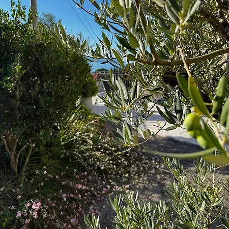 Apartment Aura Adriatica Onyx - Luxury Apartment, Private Pool, Sea View, Parking