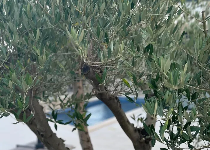 Aura Adriatica Onyx - Luxury Apartment, Private Pool, Sea View, Parking